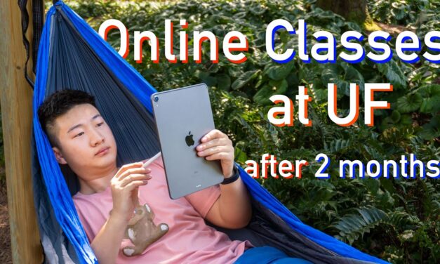 Online Classes At University Of Florida | Survival Guide