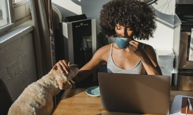Discover 10 Remote Entry-Level Jobs To Jumpstart Your Career